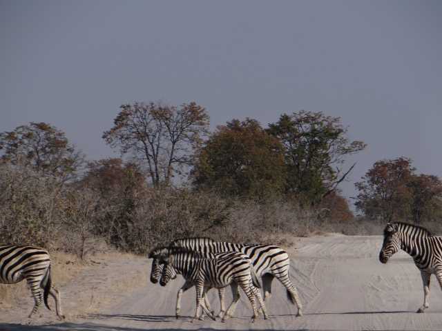 Le Botswana vu du ciel