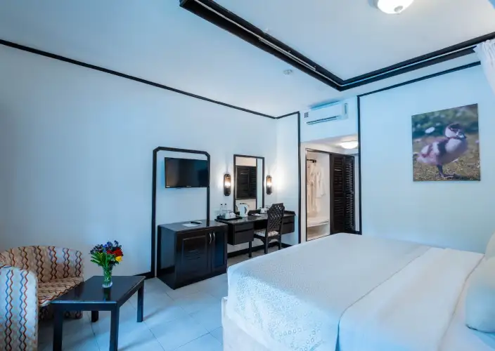 Kenya Swahili Heritage, Mombasa and Amboseli Safari - Amboseli to Mombasa Coast - Photo of the day