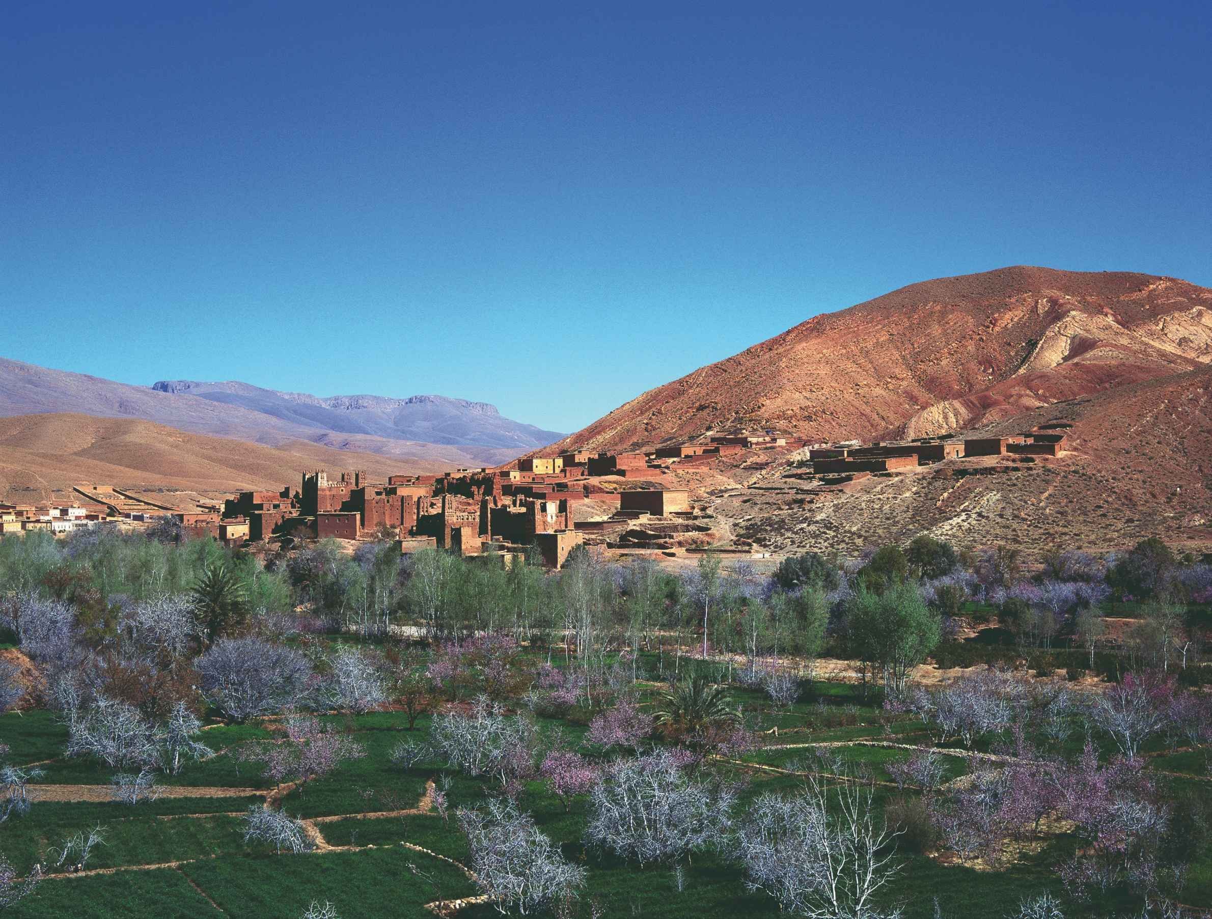 Immersion en pays berbère - Bivouac panoramique - Bivouac panoramique