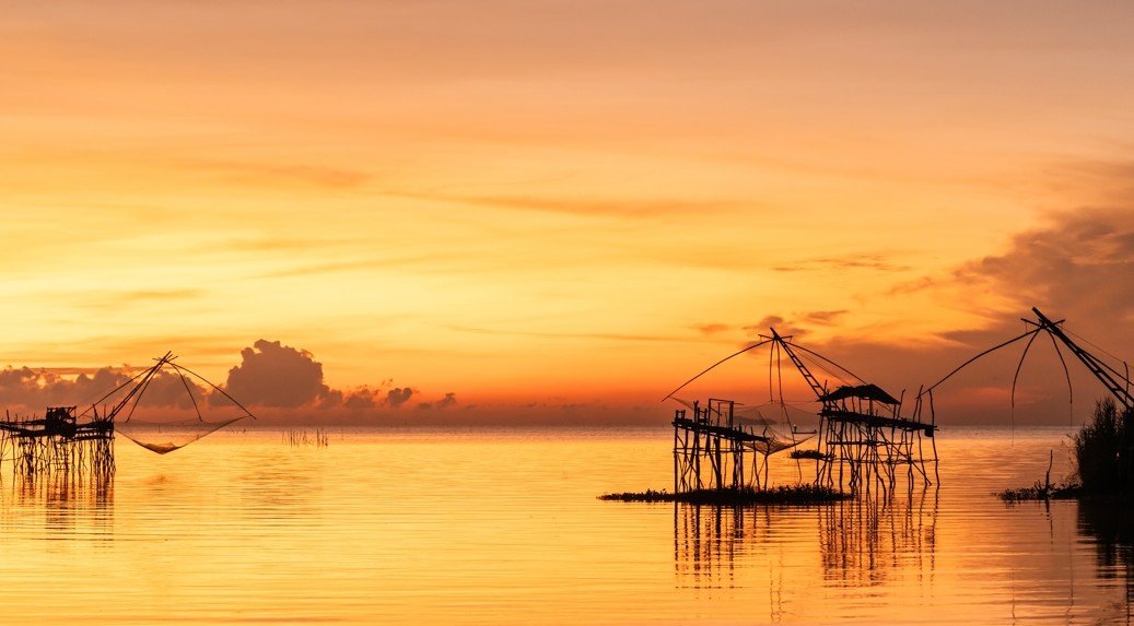 Land van delen in het zuiden van Thailand - Van de toppen van Kiriwong tot de lotussen van Thale Noi – Khao Sok – Kiriwong – Thale Noi - Foto van de dag