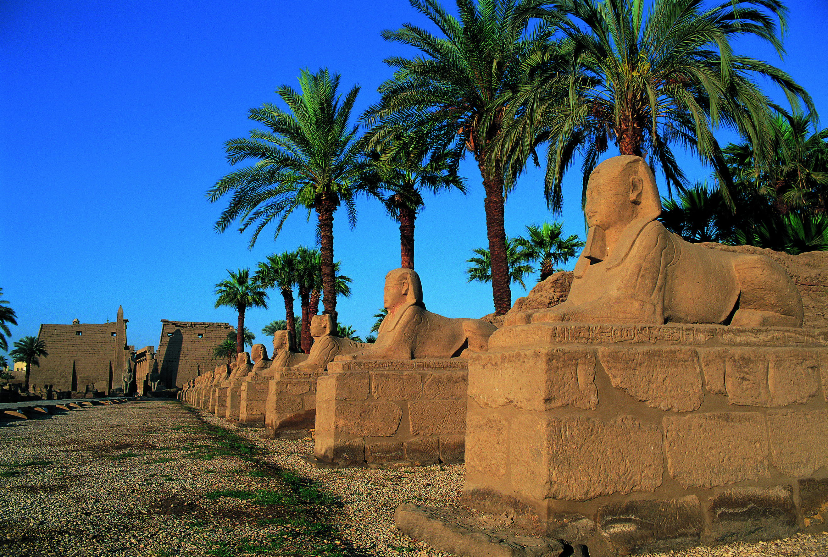 Crucero por el Nilo en faluca - Lúxor - Louxor