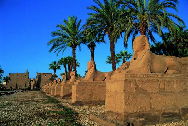 Crociera sul Nilo in feluca