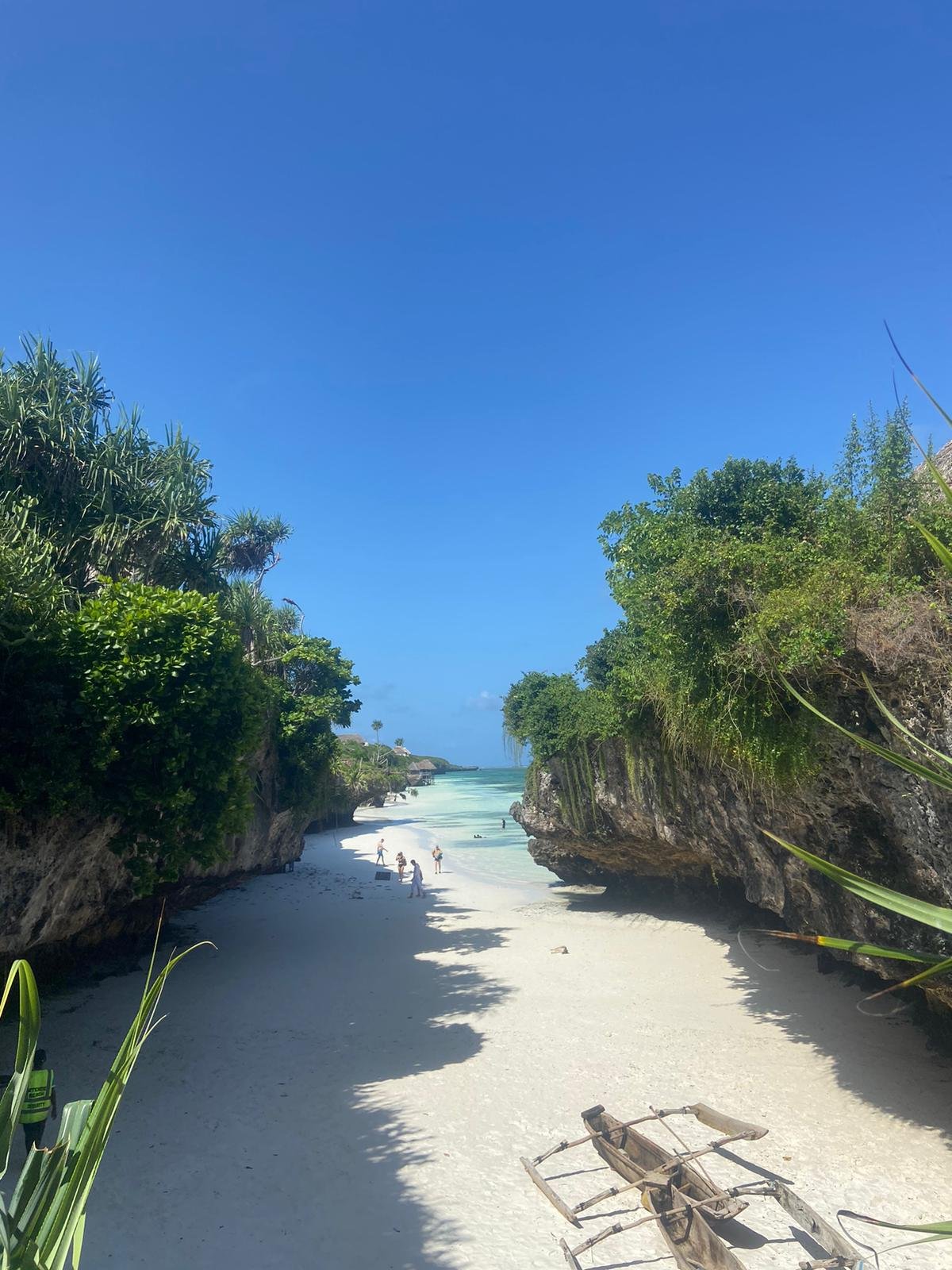 12-daagse safari, lokale levensstijl & Zanzibar all-inclusive - Vlieg naar Zanzibar - Foto van de dag