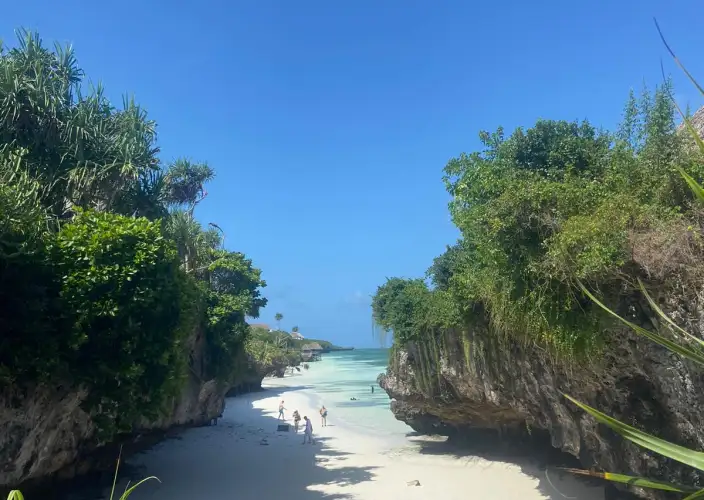 12-daagse safari, lokale levensstijl & Zanzibar all-inclusive - Vlieg naar Zanzibar - Foto van de dag