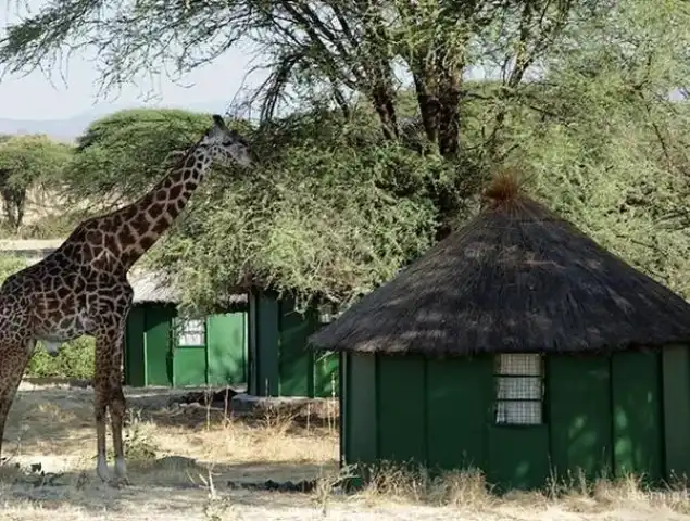 Explora los diversos paisajes y la vida silvestre de las joyas ocultas de Tanzania
