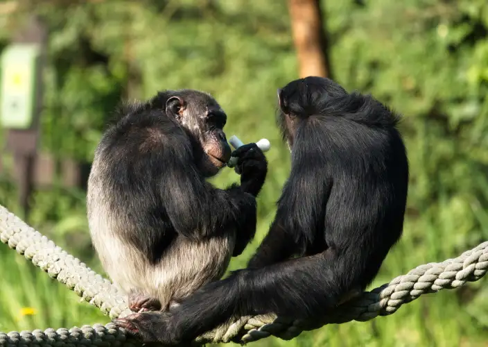 21-tägige Große Ostafrika-Expedition - null - Tagesfoto