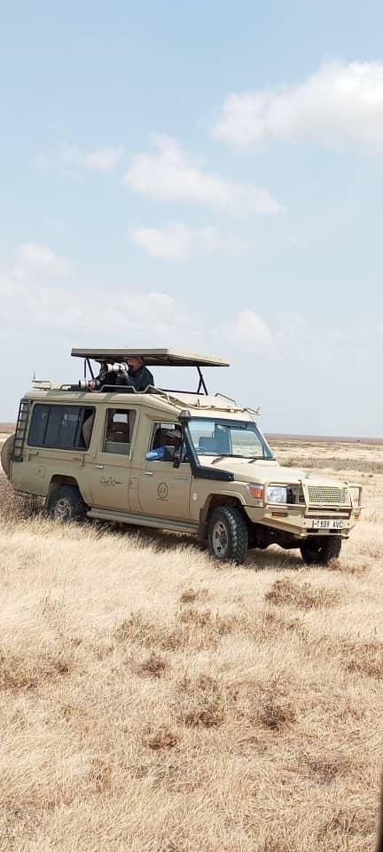 5-tägige Echoes of Serengeti Gruppen-Mittelklasse-Safari - Serengeti-Nationalpark - Ganztägige Serengeti-Erkundung - Tagesfoto