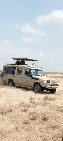 Safari em Grupo de 5 Dias Echoes of Serengeti de Categoria Média