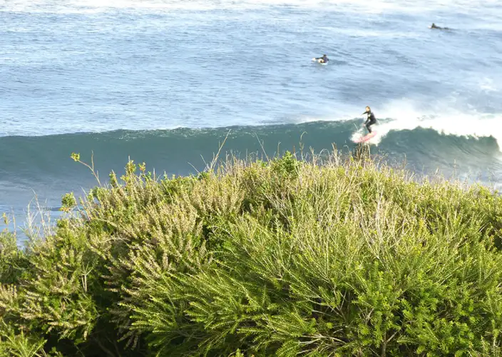 Alquiler de furgonetas camper - La Gran Carretera Oceánica - Meca del surf: Bells Beach - Tagesfoto