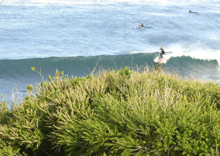 Campervan Hire - The Great Ocean Road - Surfing Mecca: Bells Beach - Photo of the day