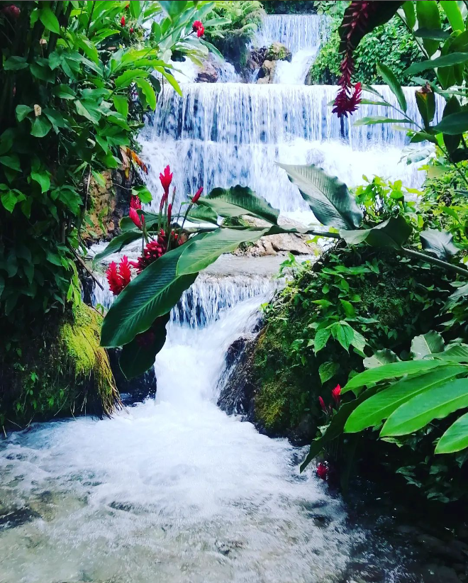 Alla scoperta del Sud Dominicano - Strada verso Barahona & scoperta di Villa Miriam - Foto del giorno