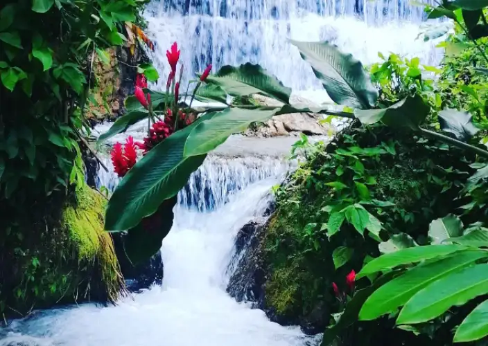 Alla scoperta del Sud Dominicano - Strada verso Barahona & scoperta di Villa Miriam - Foto del giorno