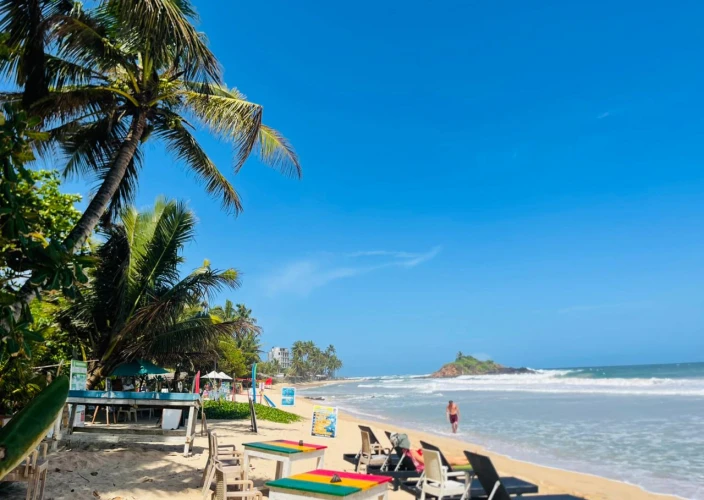 Rencontres insolites au pays de l’or vert - Les plages du sud du Sri Lanka - Photo du jour