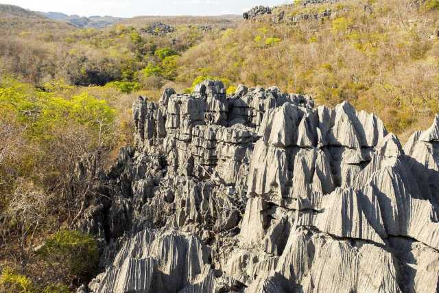 MADAGÁSCAR ENTRE O NORTE E O SUL: UMA VIAGEM FORA DO COMUM