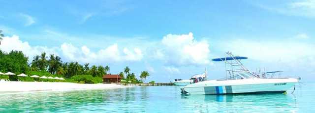 Flitterwochen auf der Insel Embudu