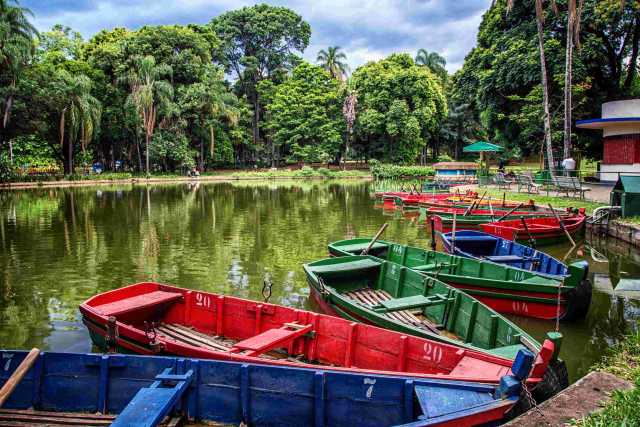 Viaje a Río - Amazonia y Ruta de las Emociones