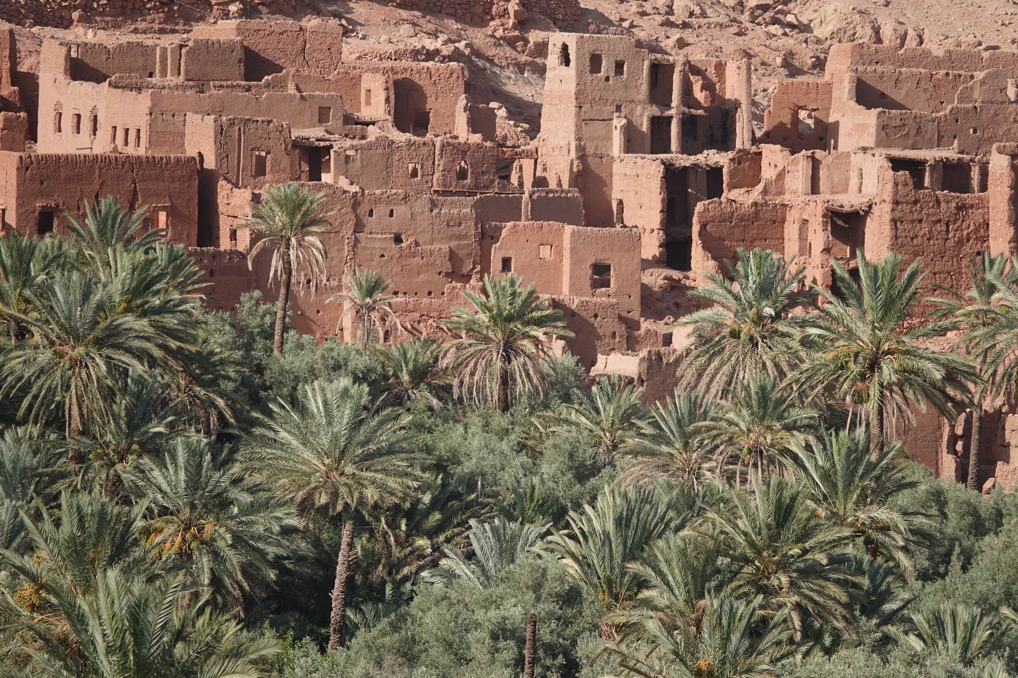 Ksour, kasbahs and oases of the Great Moroccan South - Jebel Saghro and Todgha - Jebel Saghro et Todghra