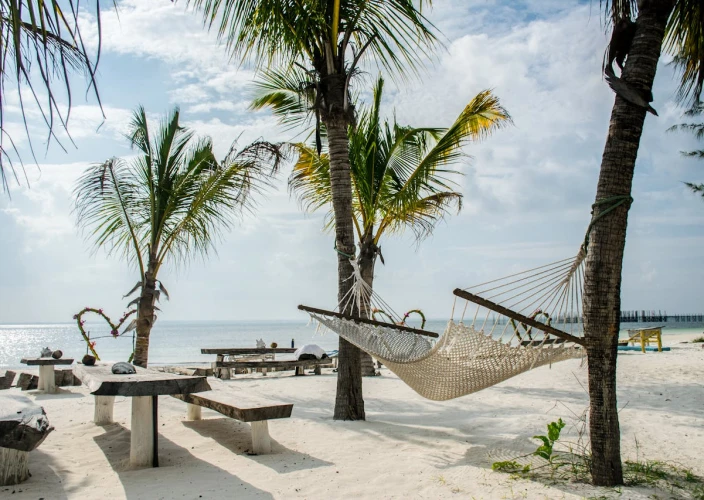 14 Dias de Safari & Praia: A Fuga de Lua de Mel na Tanzânia - Praia de Zanzibar e Atividades Opcionais com Custo Extra - Foto do dia