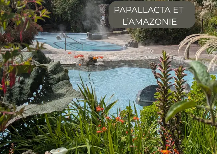 The Great Crossing of the Equator - in a small French-speaking group - Sunday - Route to the Amazon - Photo of the day