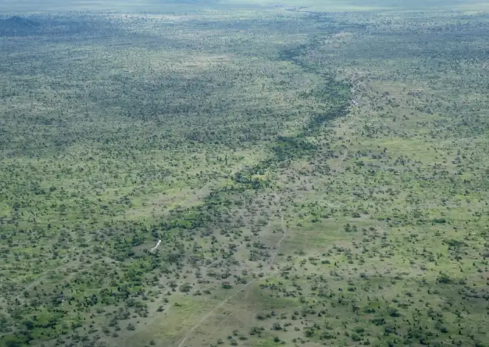 14-daagse Tanzania Safari, Cultuur & Zanzibar Ontsnapping - Tarangire Nationaal Park (Game Drive) - Foto van de dag