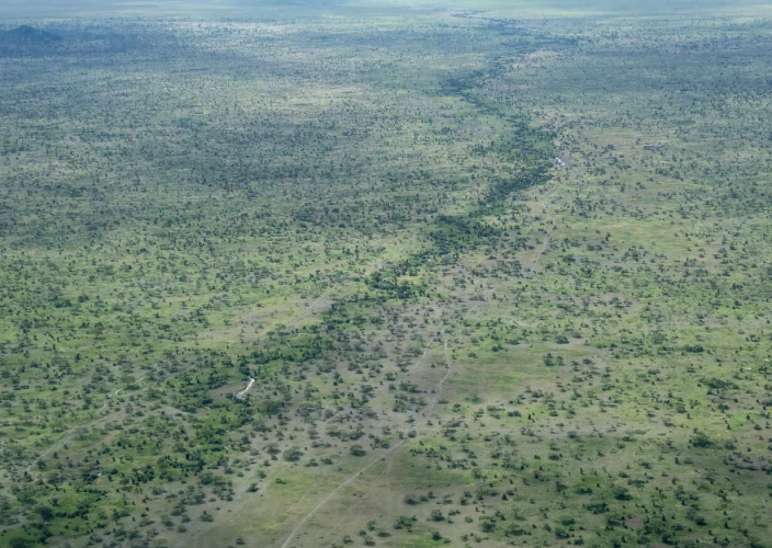 14-Day Tanzania Safari, Culture & Zanzibar Escape - Tarangire National Park (Game Drive) - Photo of the day