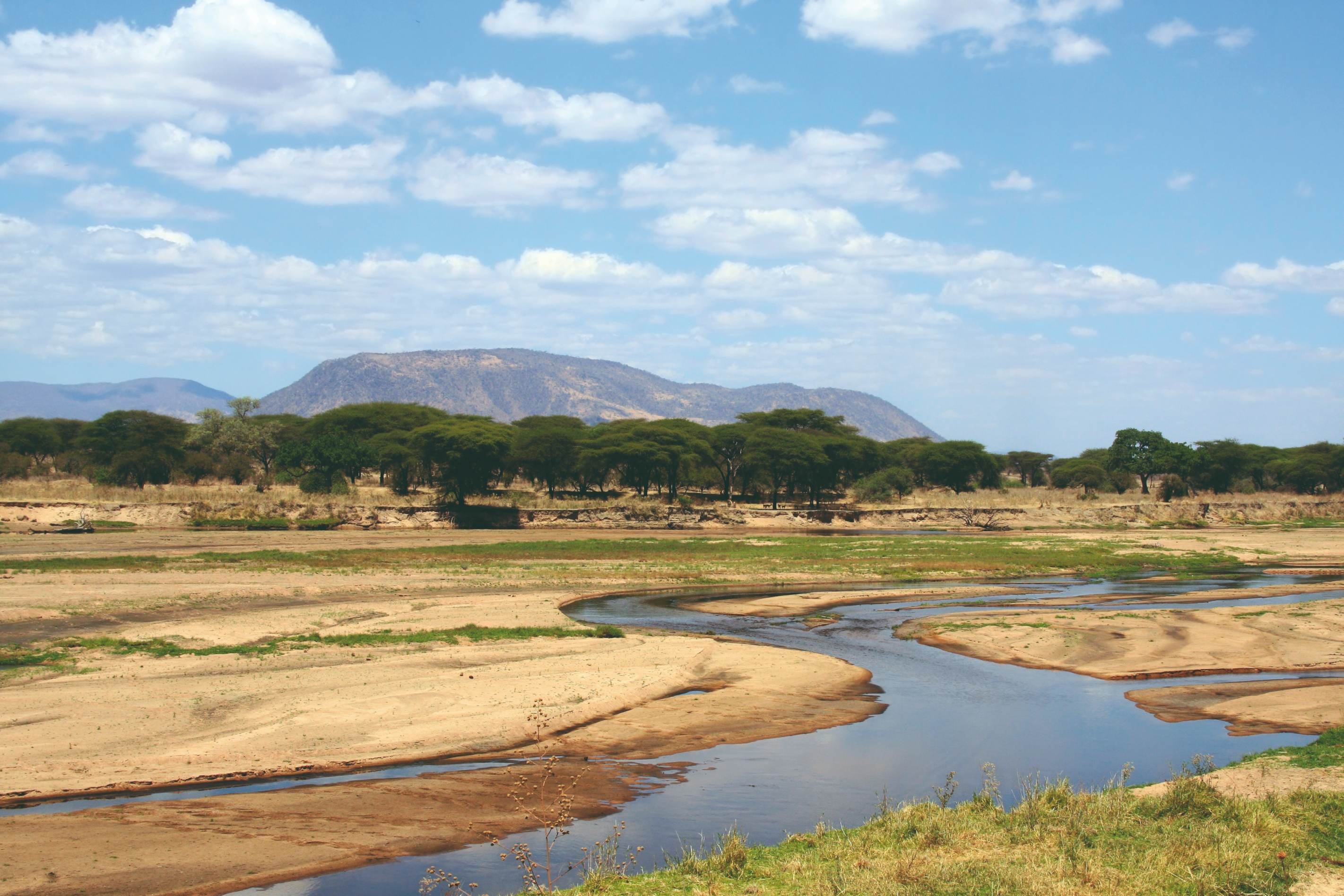 11 Tage Safari im Süden Tansanias - Ruaha-Nationalpark - Parc national de Ruaha