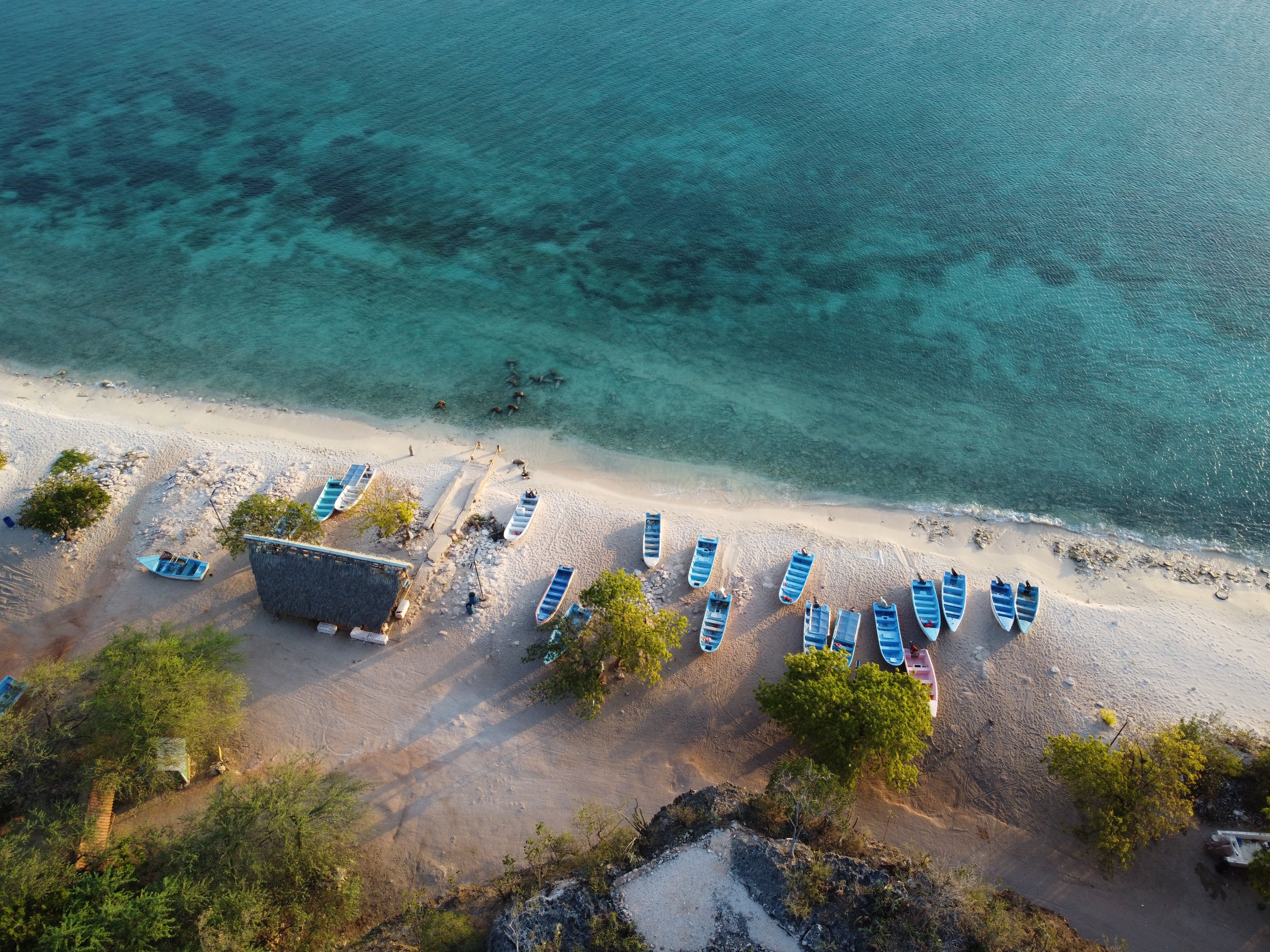 Alla scoperta del Sud Dominicano - In viaggio verso Bahía de las Águilas - Foto del giorno
