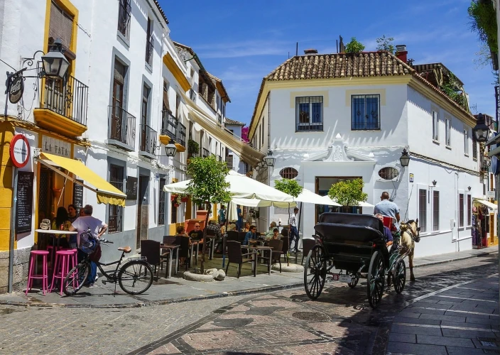Andalusië buiten de gebaande paden - Córdoba, Granada - Cordoue, Grenade