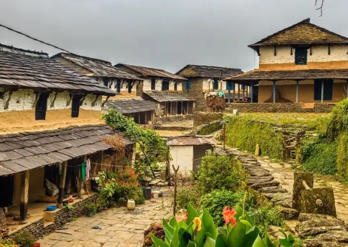 Annapurna Comfort Trek | 10 Days - Trek Dhampus (1525m) – 4 hrs walk - Photo of the day