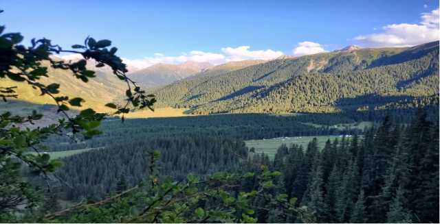 In the land of the nomads