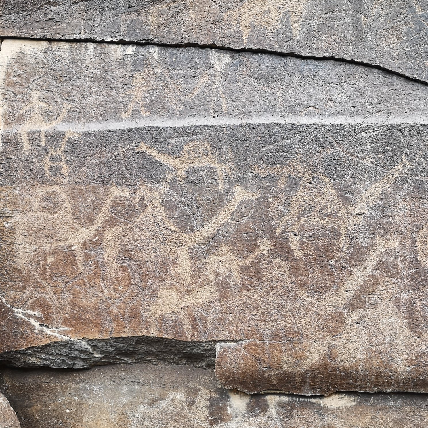 Djibouti: tra mare e montagna - Spedizione alle incisioni rupestri di Abourma - Expédition aux gravures rupestres d Abourma