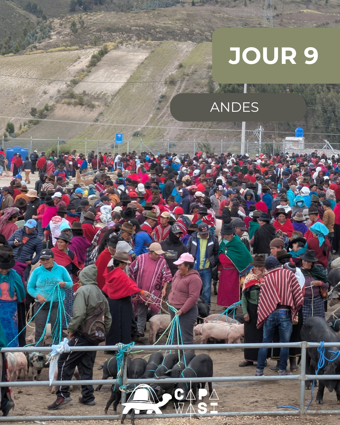 The Great Crossing of the Equator - in a small French-speaking group - Thursday - Heritage of cultures - Photo of the day