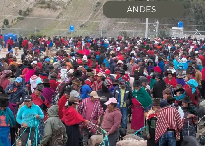 The Great Crossing of the Equator - in a small French-speaking group - Thursday - Heritage of cultures - Photo of the day
