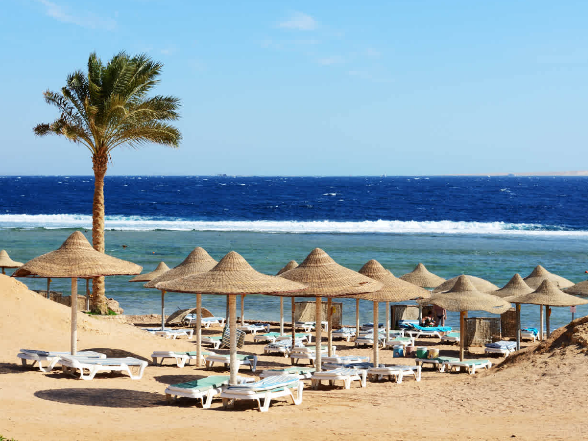 Egitto Svelato: 12 Giorni di Patrimonio e Scoperta - Sharm El Sheikh Giornata Libera & Avventura Facoltativa al Canyon Colorato 🌈🏞️ - Foto del día