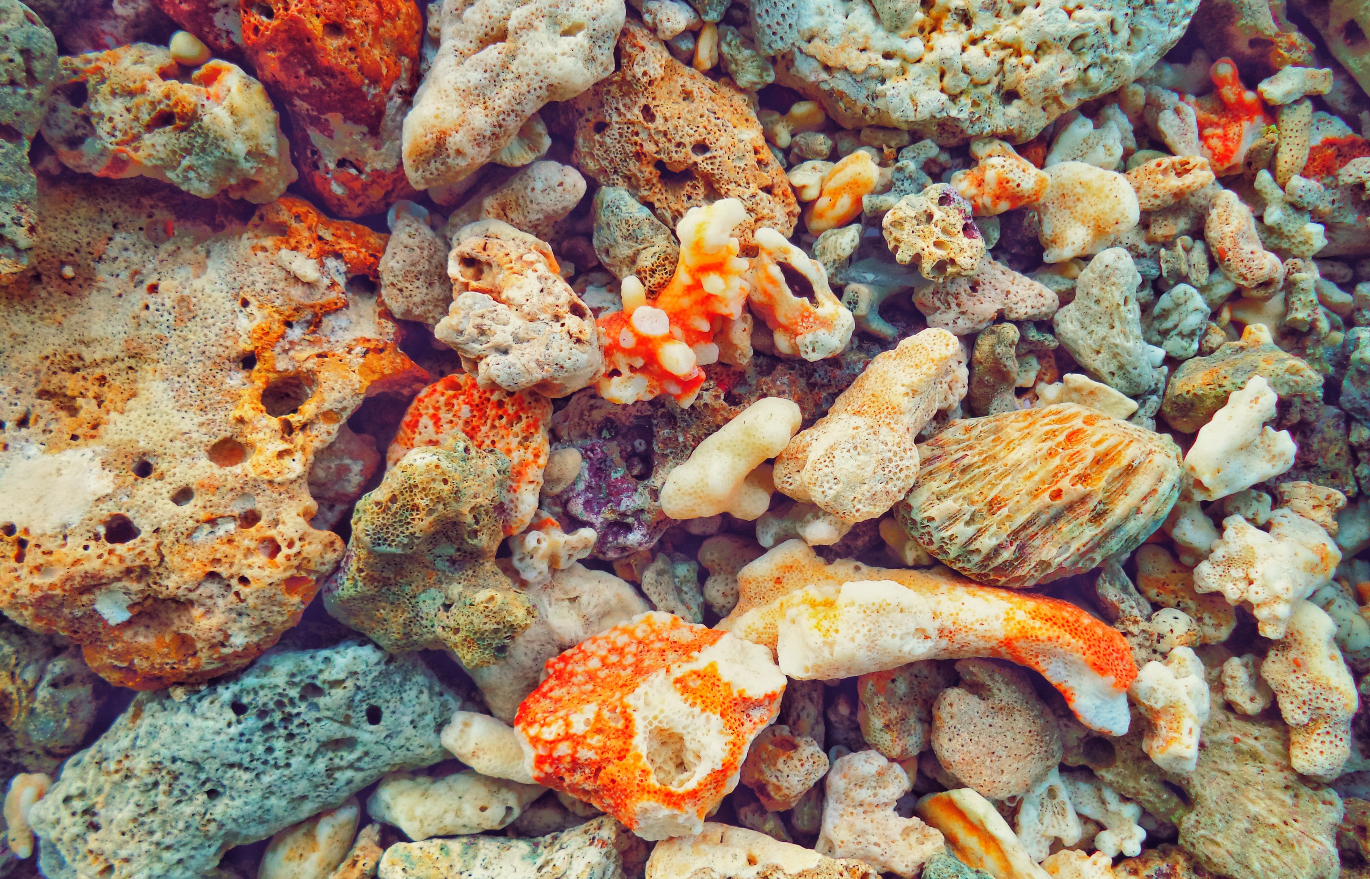 Plage et détente au Sri Lanka - Beruwala - Colombo - Beruwala - Colombo