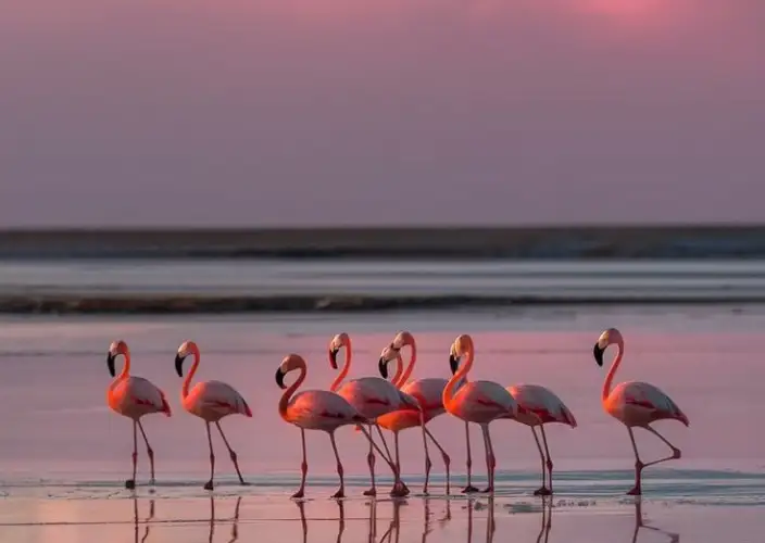 Through the Balkans: Canyons, Kingdoms, and Coasts - Lagoons, Wildlife, and Berat - Photo of the day