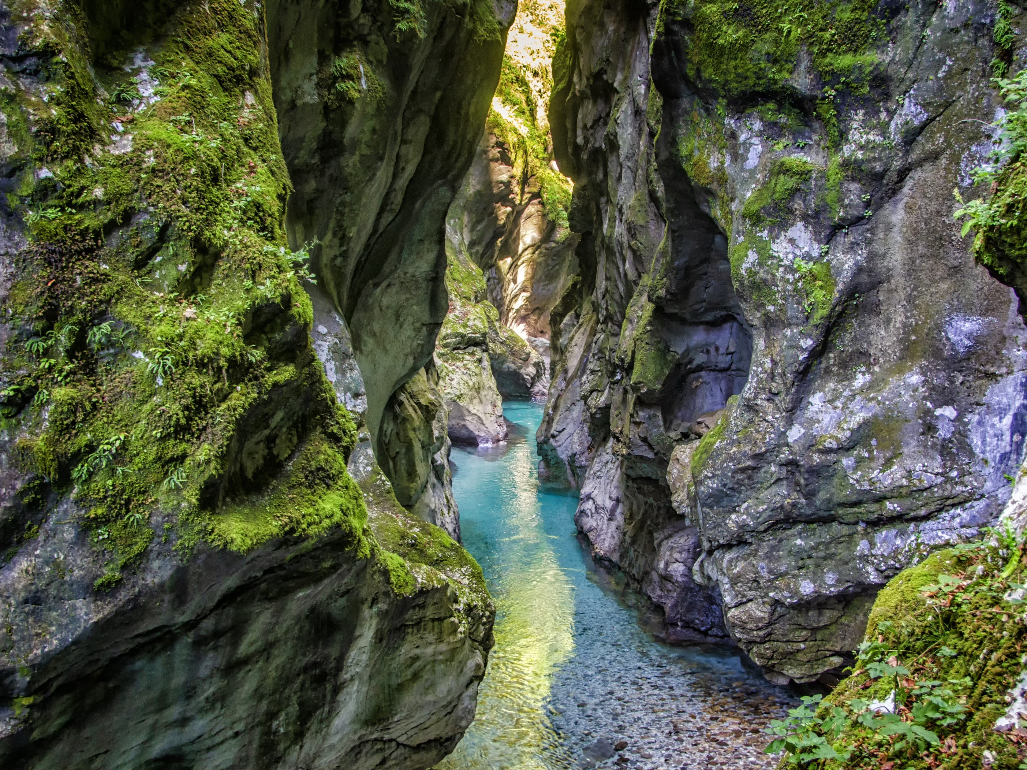 Explora lo Mejor de Eslovenia – Itinerario de 5 Días - Cascadas y cata de vinos en Goriška Brda - Foto del día