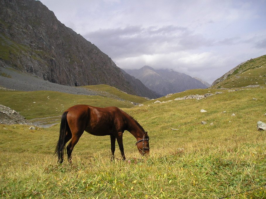 Tailor-made trip to Kyrgyzstan – Hiking in the land of nomads - Naryn – Ken-Saz - Photo of the day