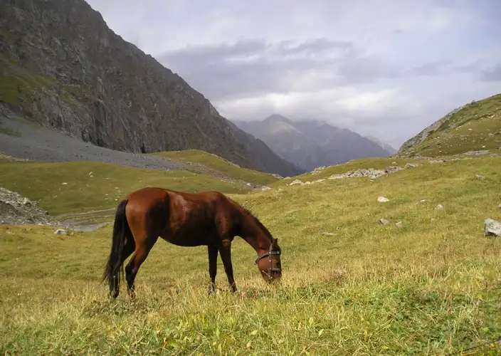 Viaje a medida a Kirguistán – Senderismo en el país de los nómadas - Naryn – Ken-Saz - Foto del día
