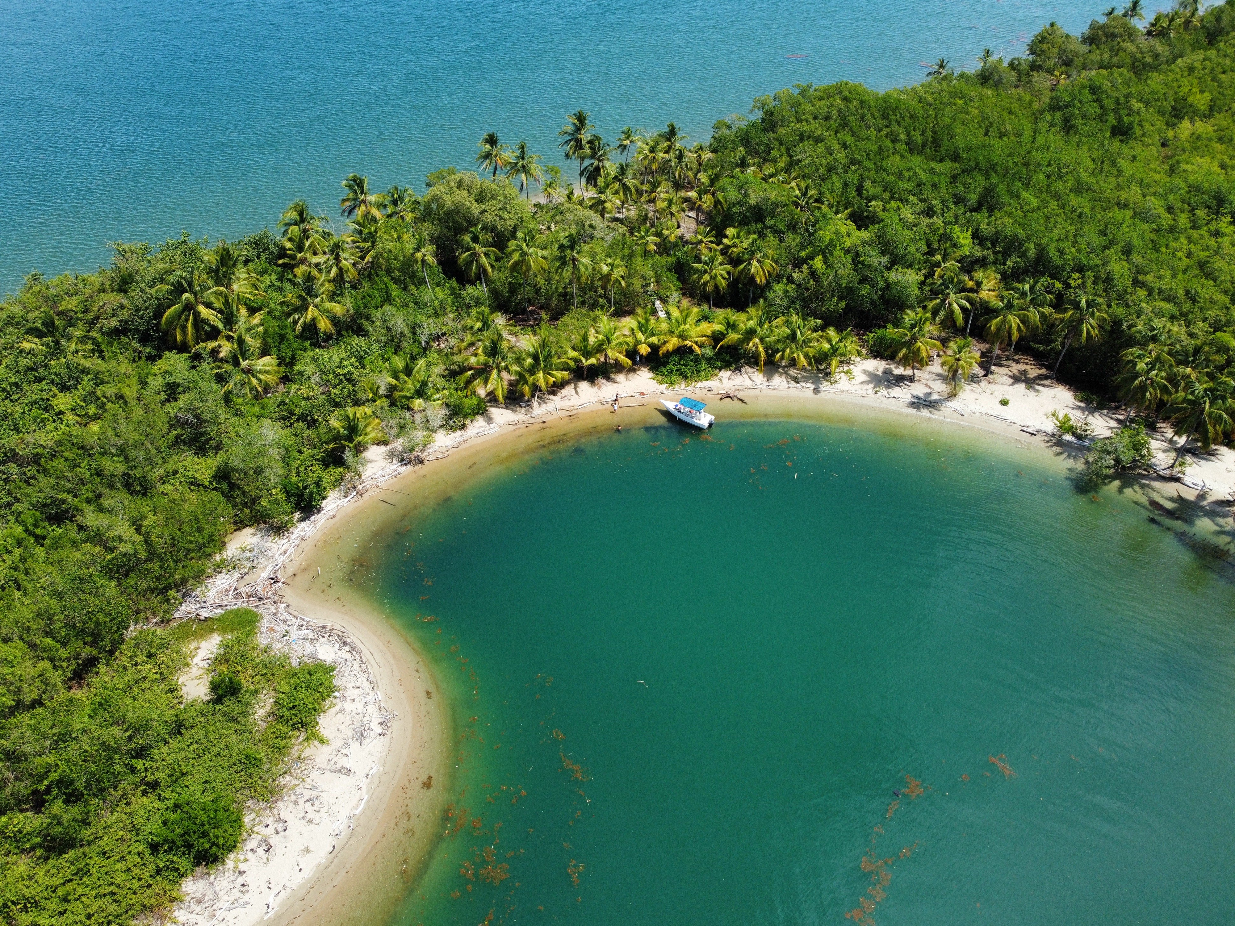 Bayahibe et Los Haitises - Visite privée du Parc National Los Haitises - Photo du jour