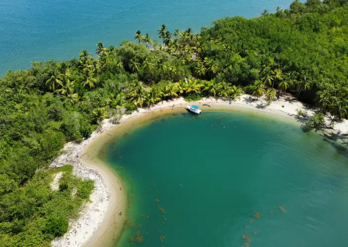 Bayahibe und Los Haitises - Private Führung durch den Nationalpark Los Haitises - Tagesfoto