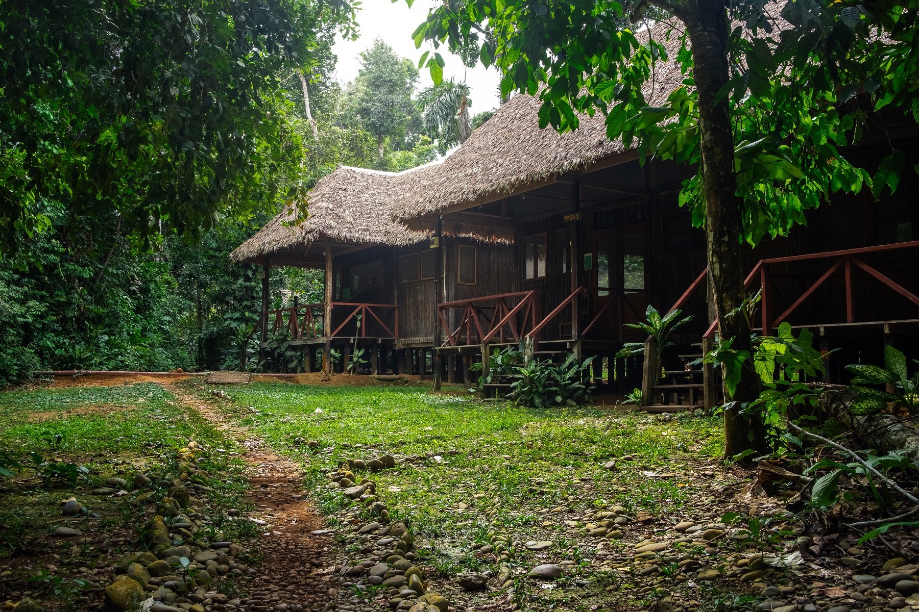 Bolivia Amazon Adventure (ATCH 3000) - Pampas - Rurrenabaque - Photo of the day