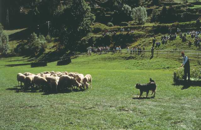 Retiro de ioga Pais-Filhos no Morvan