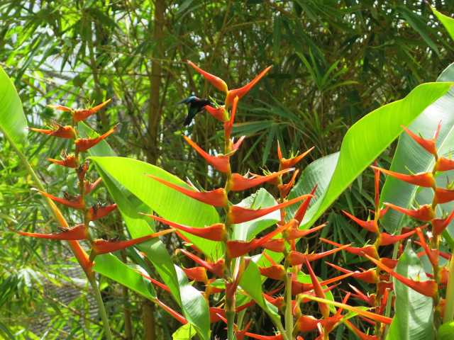 Het mooiste eiland – voor het geluk van jong en oud.