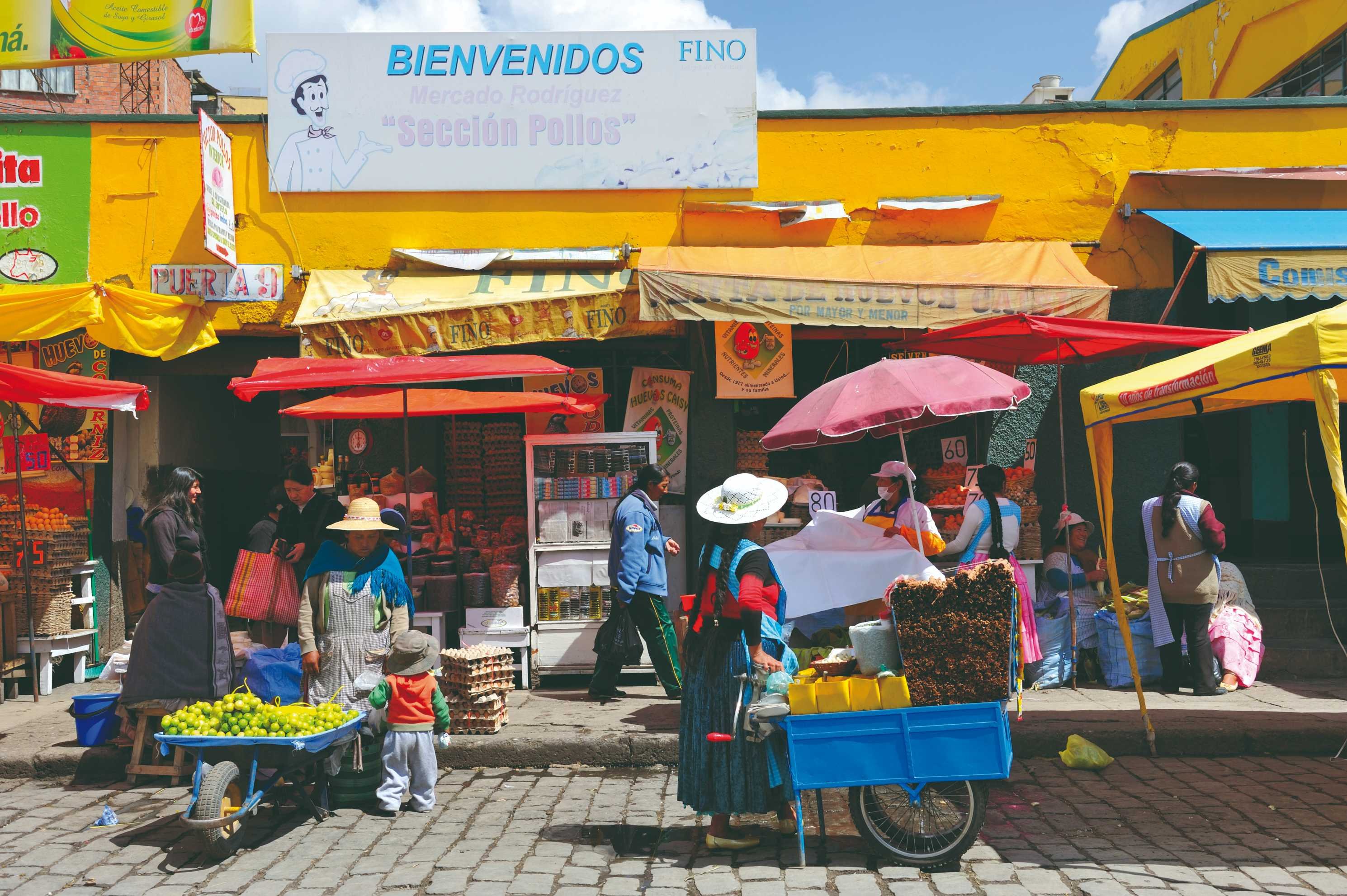 Andean caravan: crossing the Andes to the rhythm of the Altiplano mules. - La Paz - La Paz