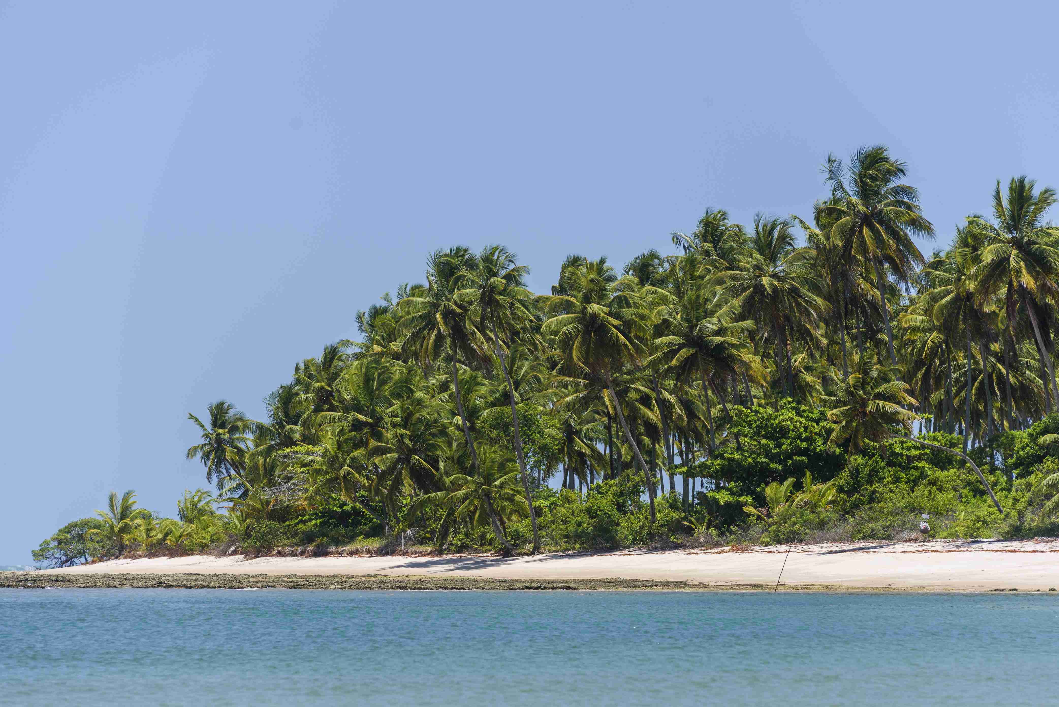 Prestigereis en luxe cruise in het Amazonegebied - Praia do Forte - Praia do Forte