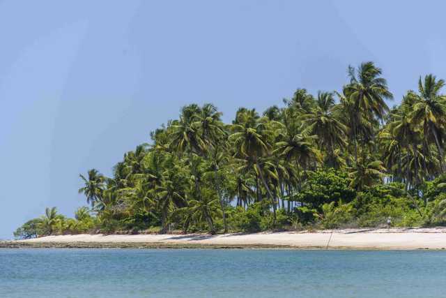 Viaje de prestigio y crucero de lujo en la Amazonía