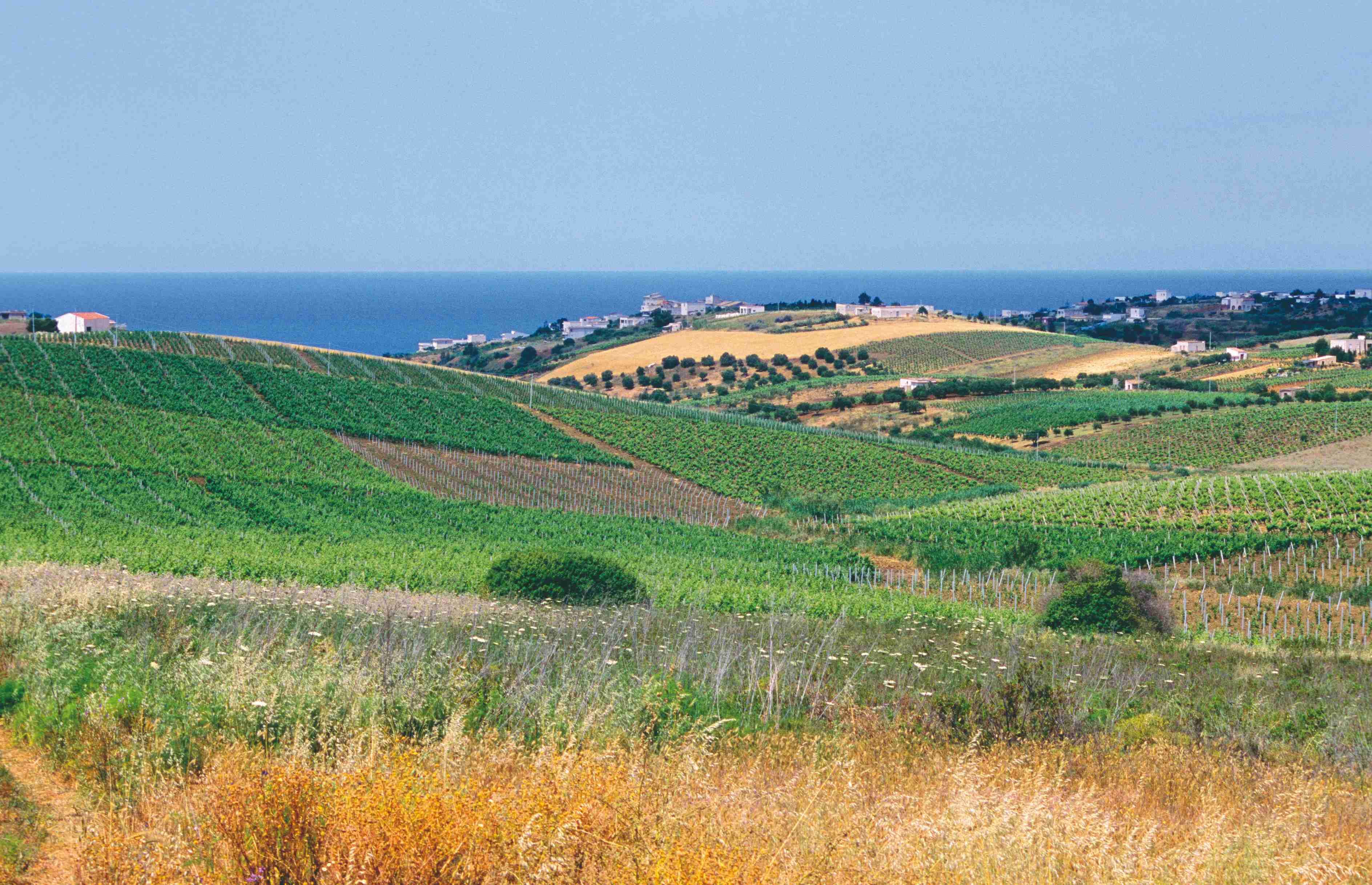 Grote tour en windturbines - West-Sicilië - Sicile occidentale