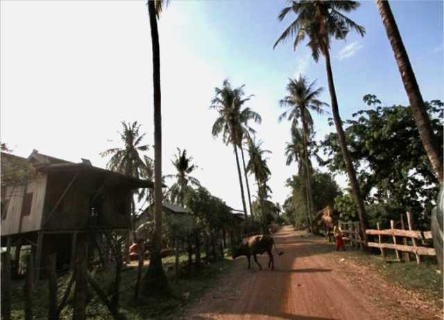 De terugkeer naar het Tonle Sap-meer + Kratie (dolfijnen) + Kep (kust)