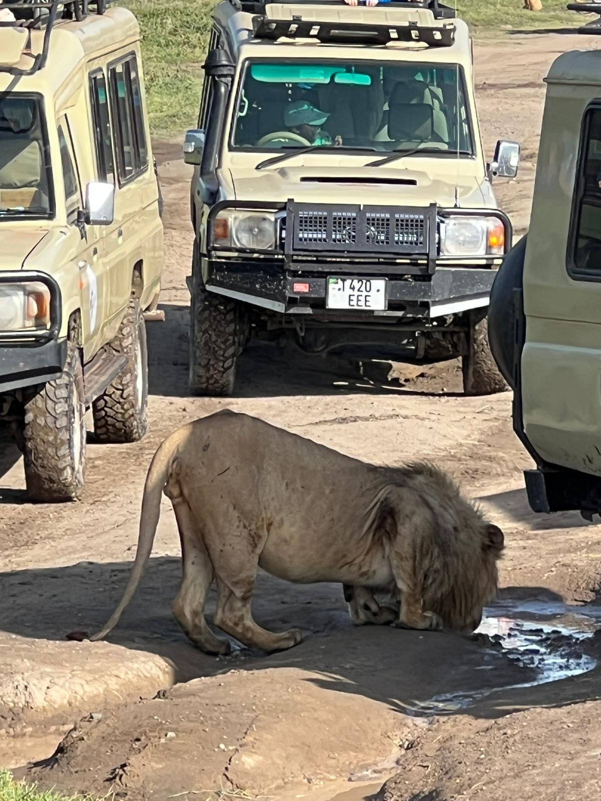 The Signature Luxury Safari Experience - Lake Manyara National Park to Arusha - Photo of the day